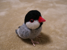 20120129y03.jpg
