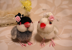 20130524m03.jpg