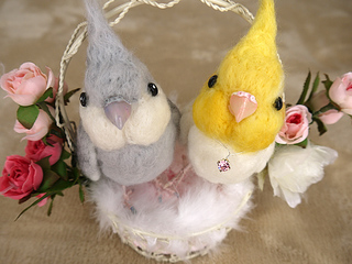 20111127i01.jpg